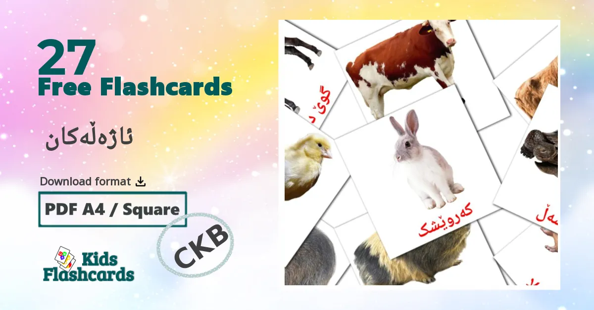 27 ئاژەڵەکان  flashcards