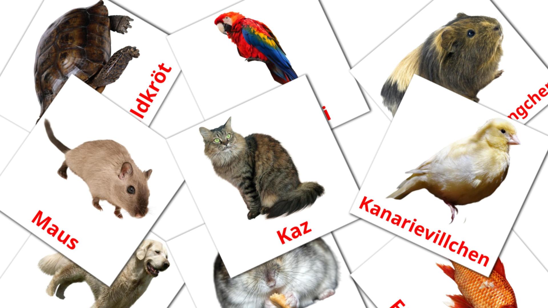 Déieren luxembourgish vocabulary flashcards