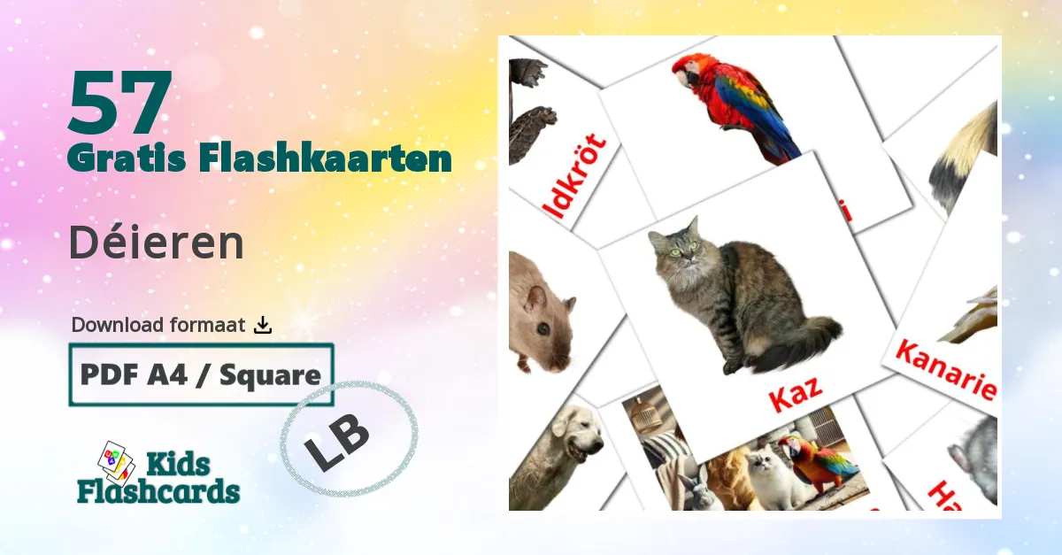 Dieren flashcards