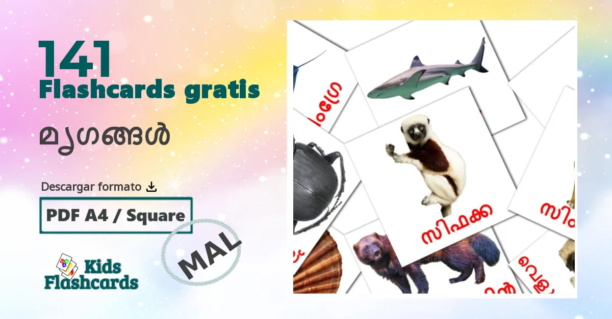 tarjetas didacticas de Animales