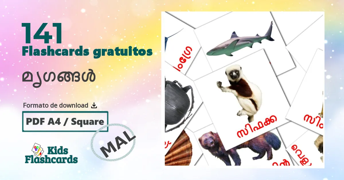 Flashcards de Animais