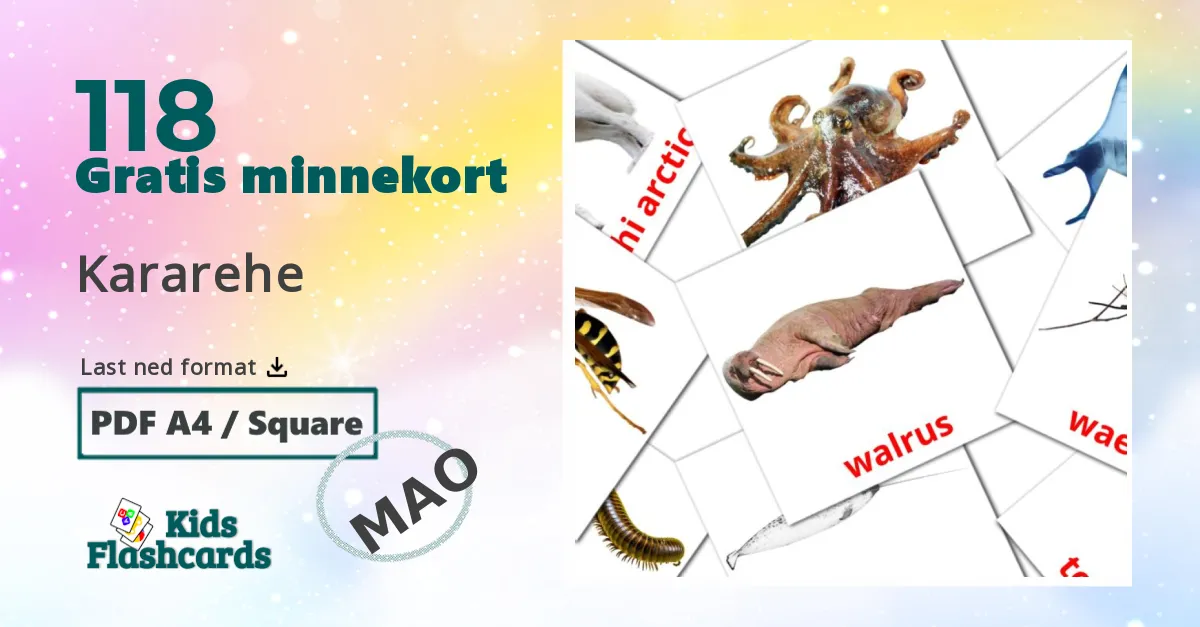Kararehe bildekort for barn på maori