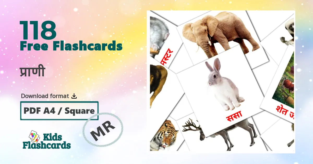 प्राणी marathi vocabulary flashcards