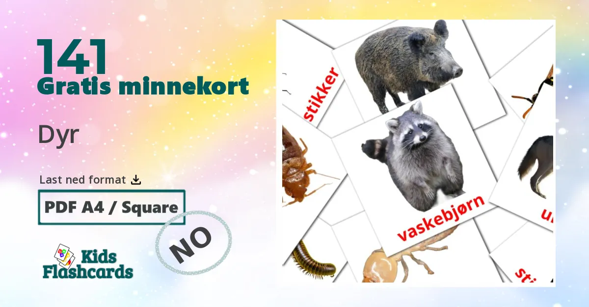 Dyr bildekort for barn på norsk