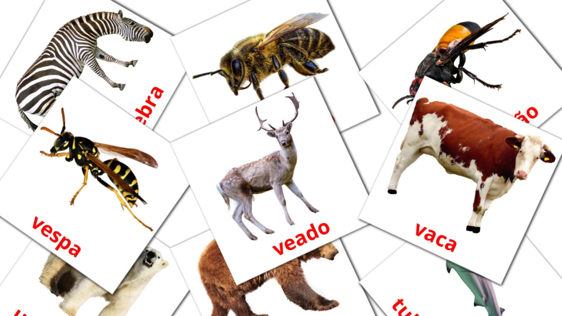 portugués tarjetas de vocabulario en Animais