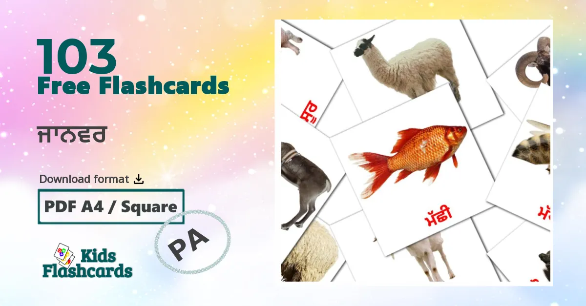 Animals flashcards