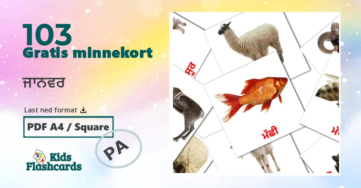 ਜਾਨਵਰ bildekort for barn på punjabi(gurmukhi)