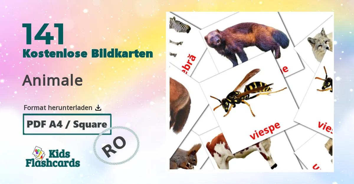 141 Bildkarten für Animale