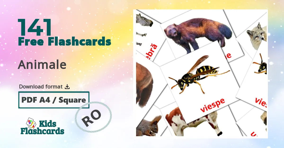 141 Animale flashcards