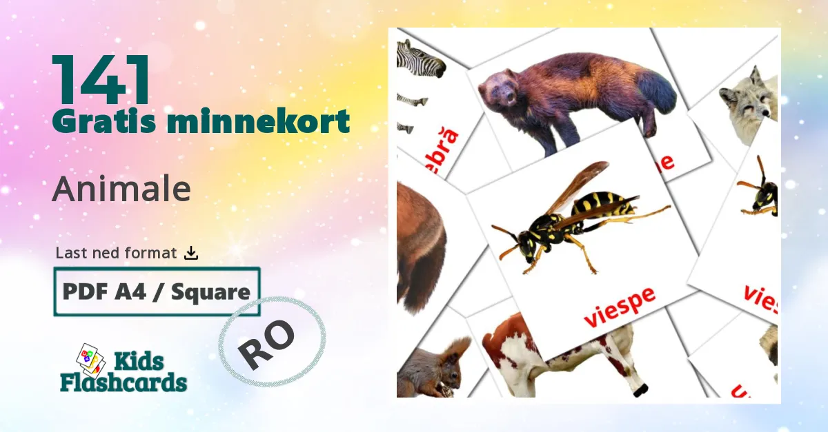 Animale bildekort for barn på rumensk
