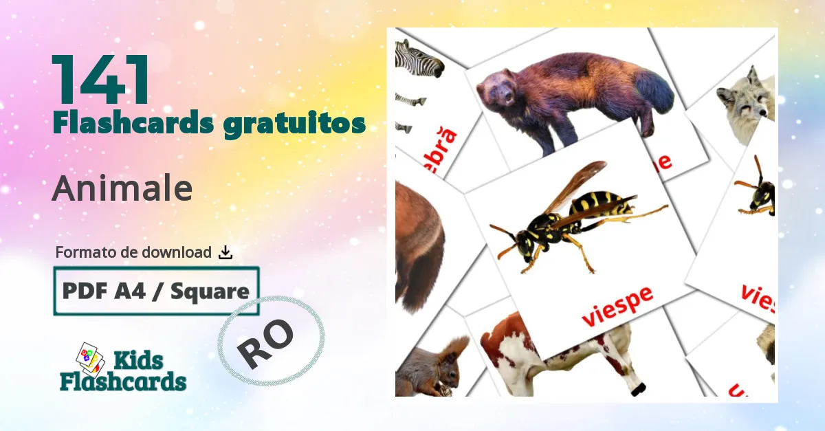 Animale Vocabulário em romeno Flashcards