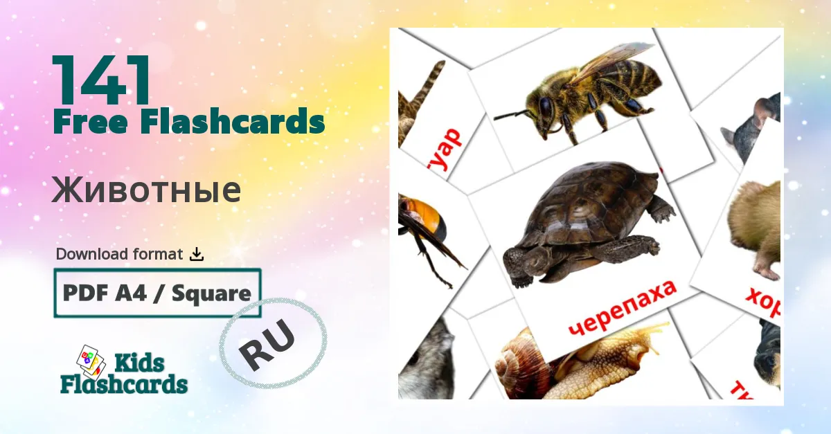 141 Животные flashcards