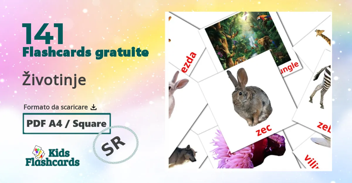 flashcards di Animali