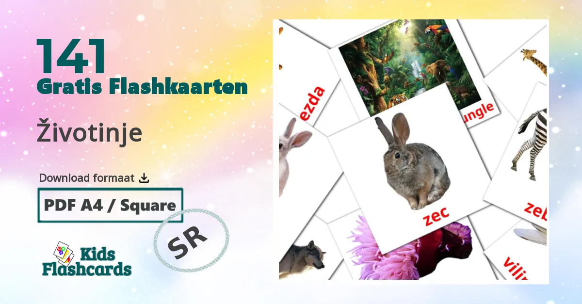 Dieren flashcards