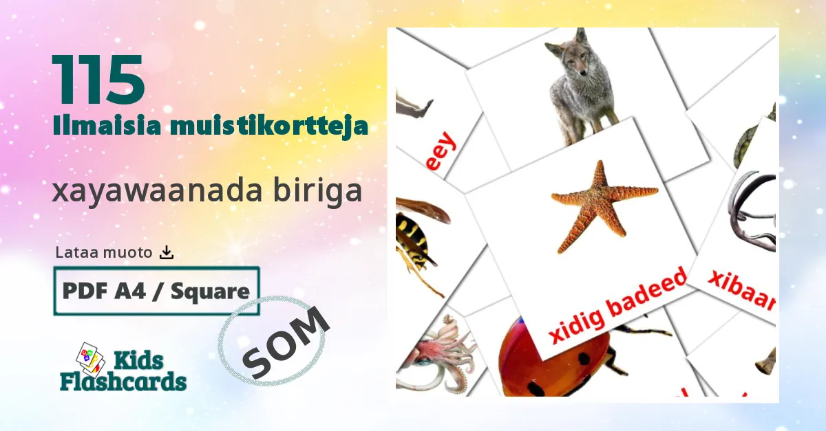 Eläimet lasten kuvakortit