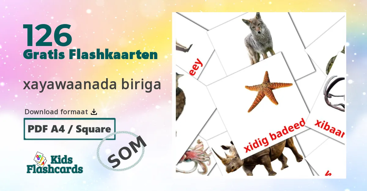 Dieren Leerkaarten voor kinderen