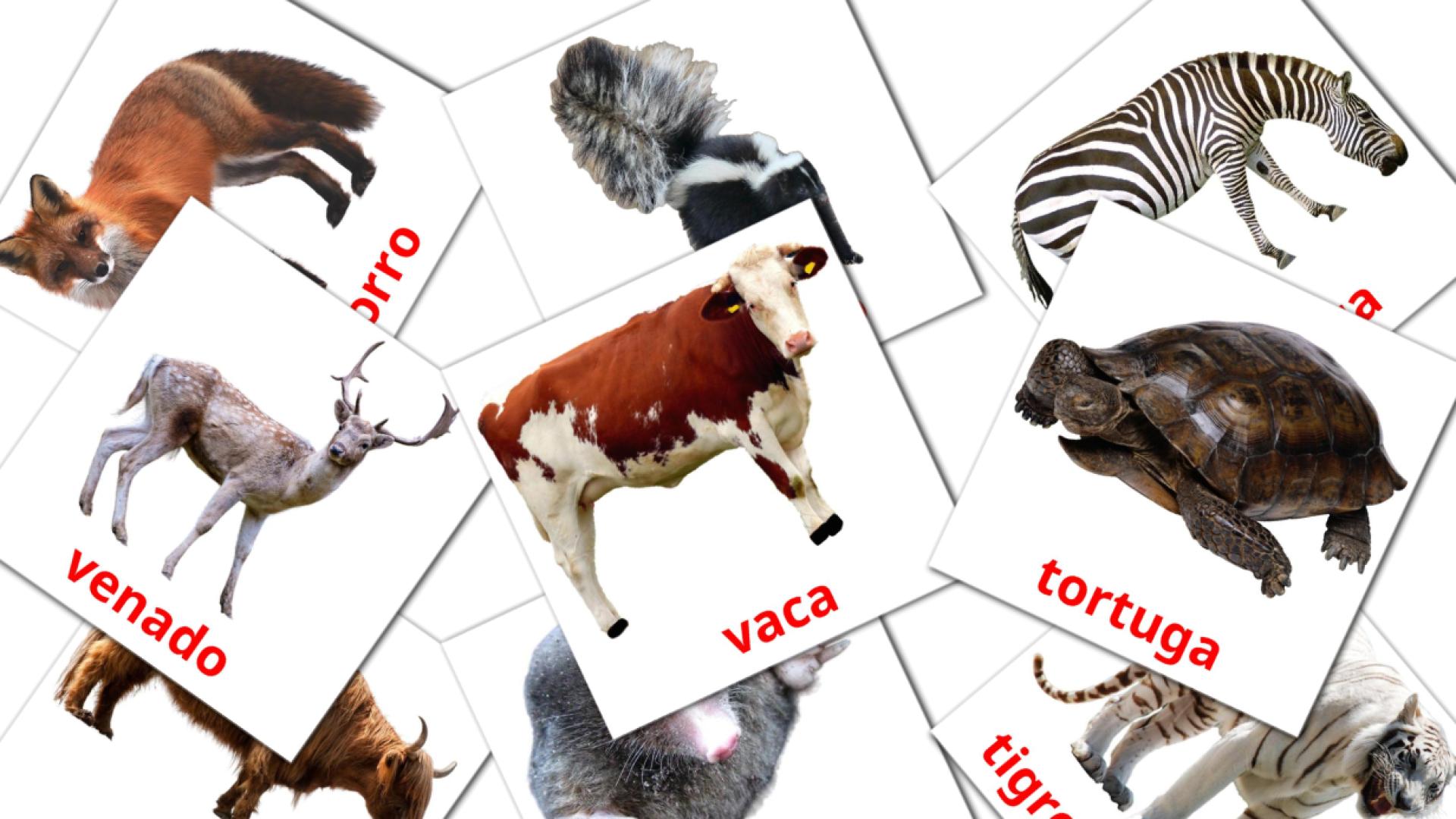 Animales spanish vocabulary flashcards