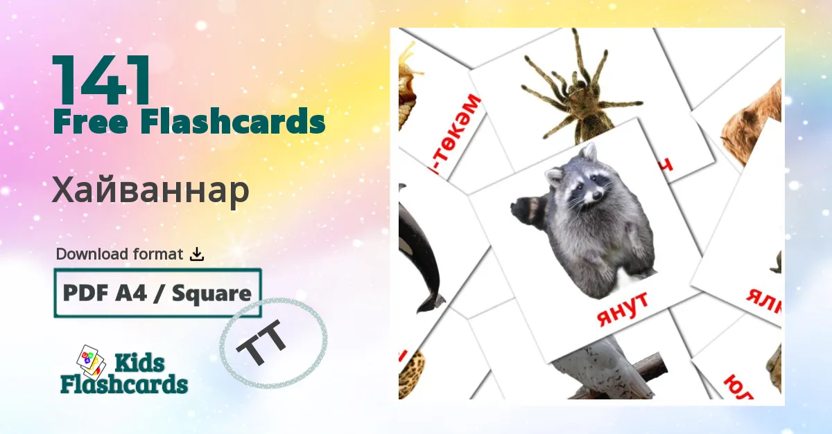 Animals flashcards