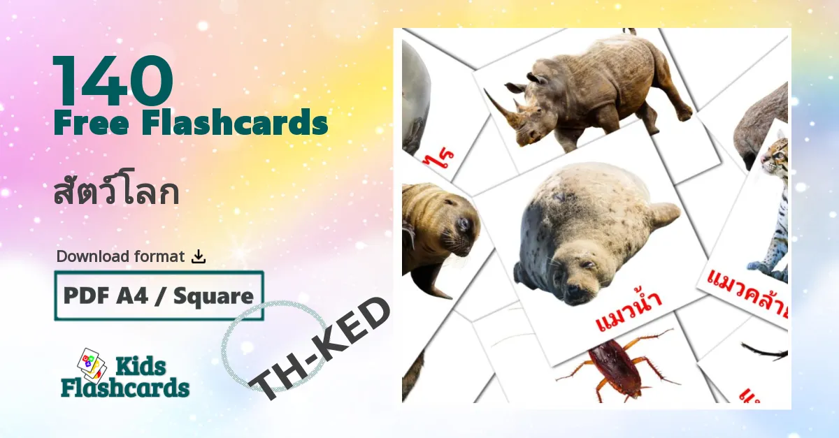 สัตว์โลก thai vocabulary flashcards