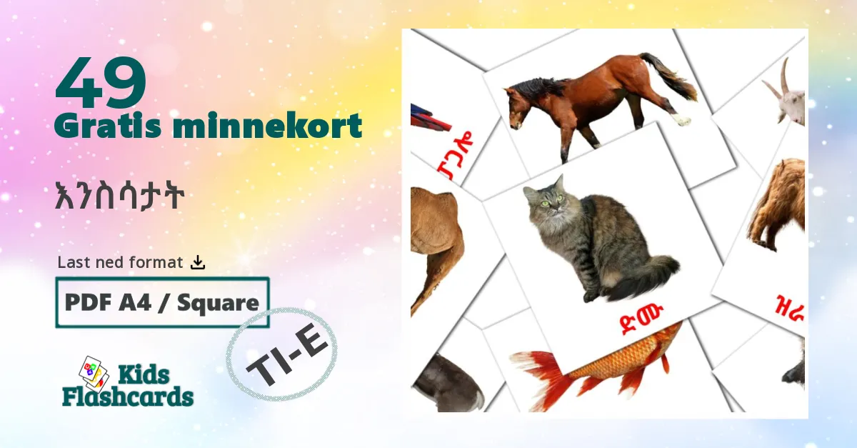 Tiere bildekort