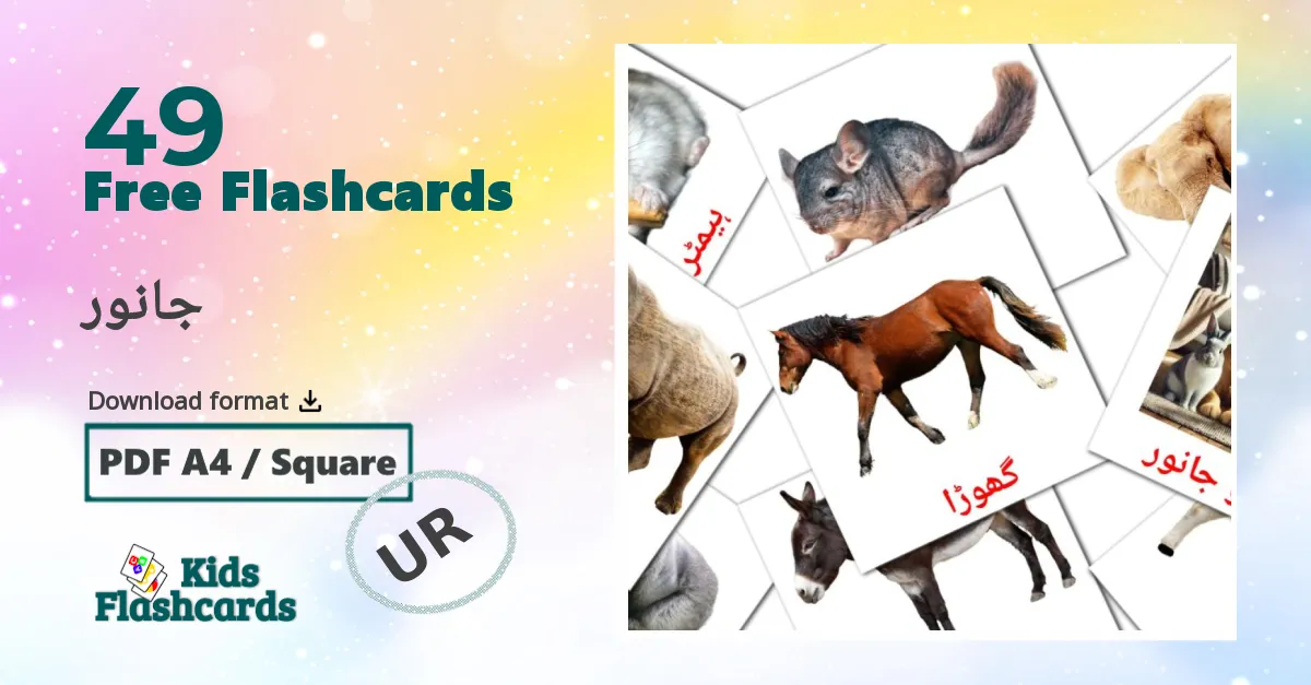 جانور urdu vocabulary flashcards