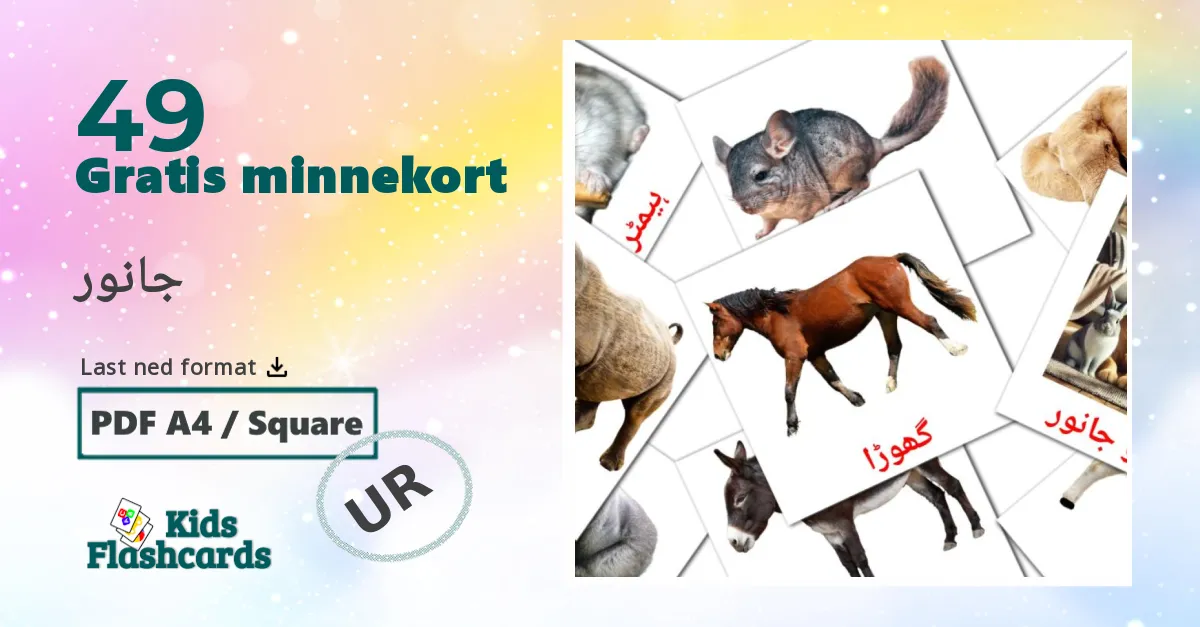 جانور bildekort for barn på urdu