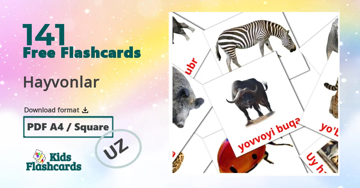 Animals flashcards