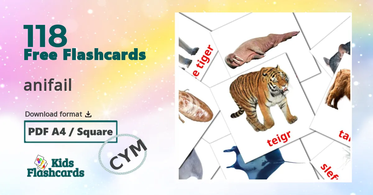 Animals flashcards