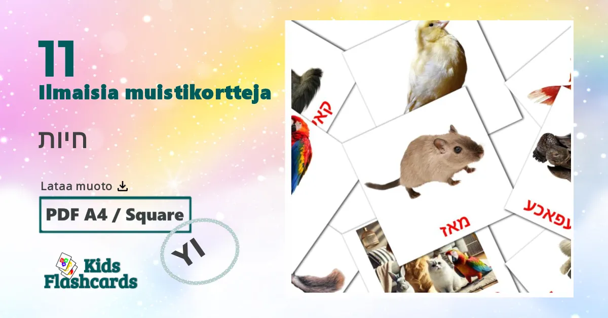 חיות – lasten kuvakortit jiddišksi sanastoon