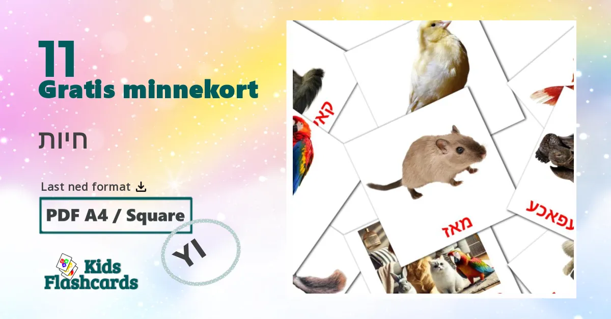 חיות bildekort for barn på jiddisch