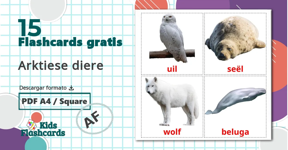 Animales del Ártico - tarjetas de vocabulario en afrikáans