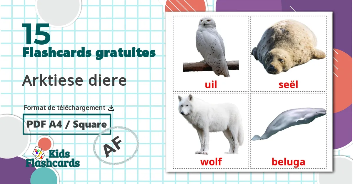 Les Animaux de l'Arctique - cartes de vocabulaire afrikaans