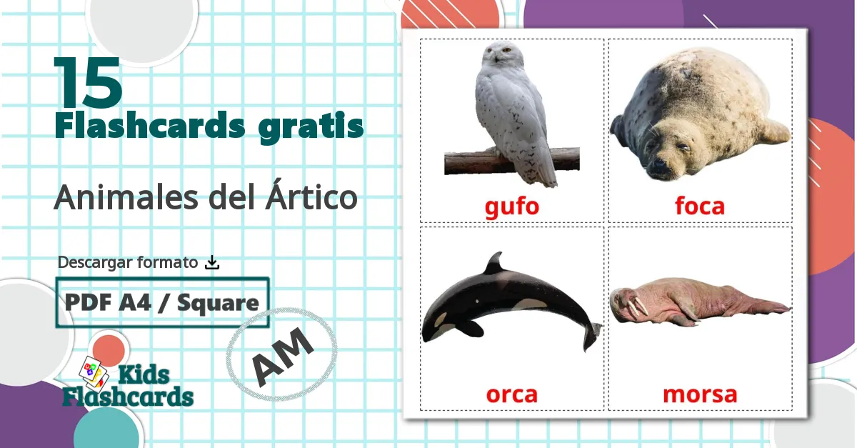 15 tarjetas didacticas de Animales del Ártico