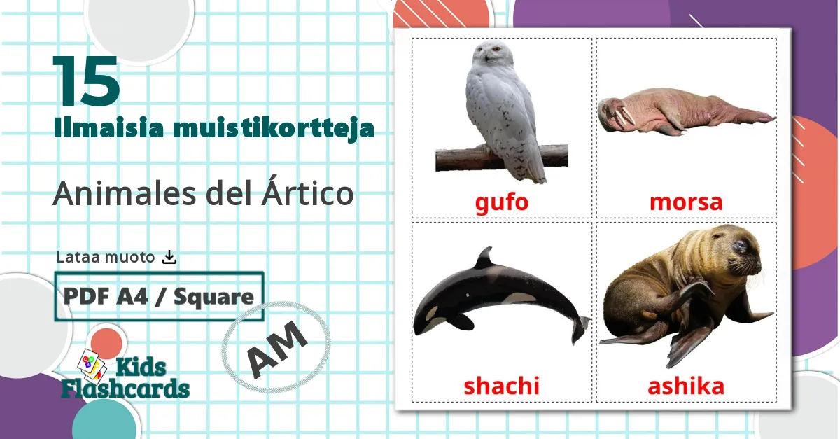 15 Arktiset eläimet lasten kuvakortit