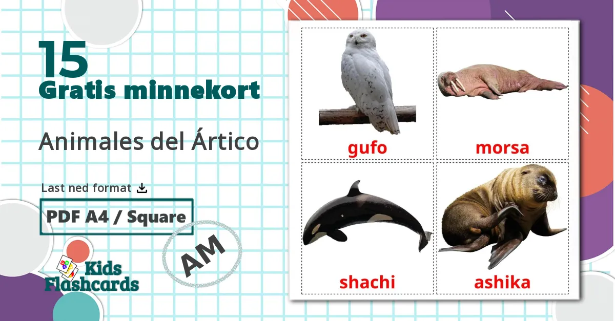 15 Arktiske dyr bildekort