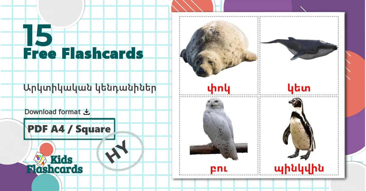 Arctic animals - armenian vocabulary cards