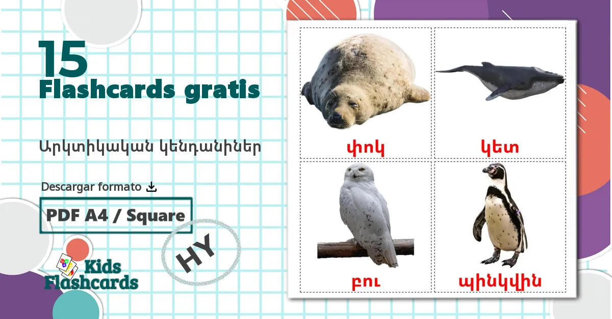 Animales del Ártico - tarjetas de vocabulario en armenio