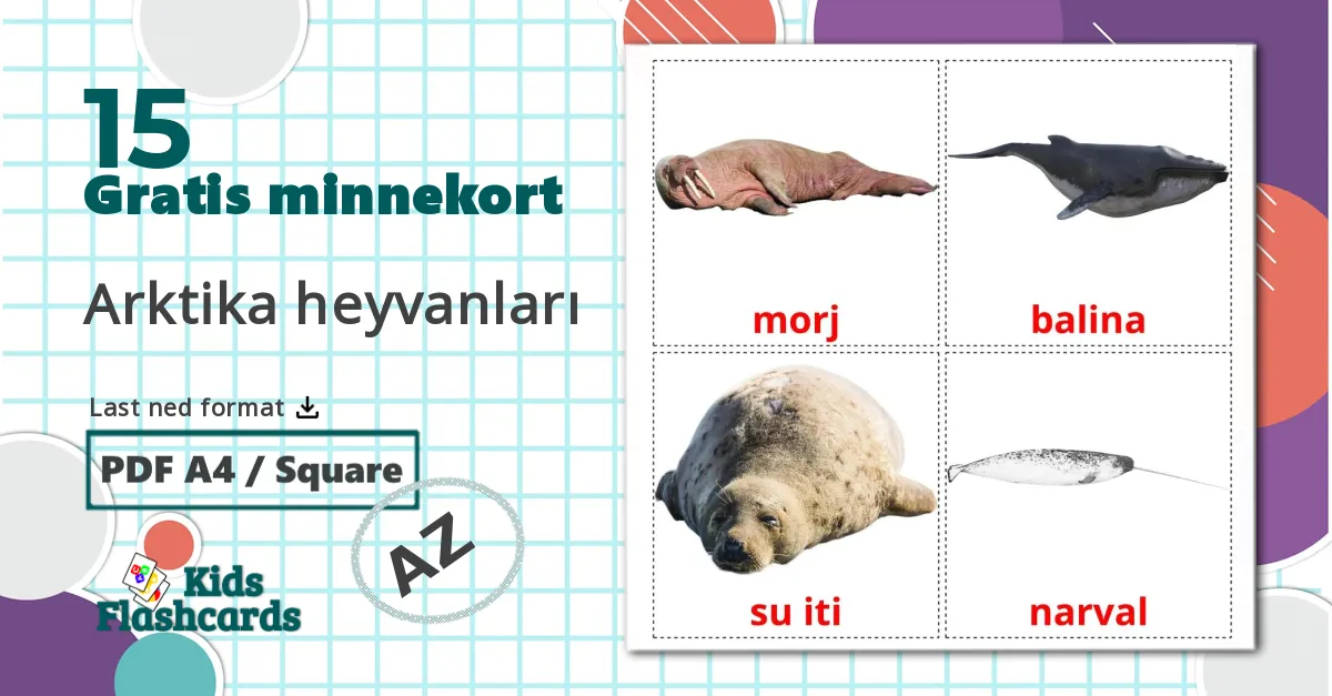 Arktiske dyr - Ordforrådskort for azerbaijani