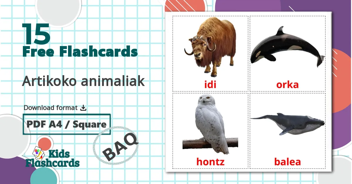 15 Artikoko animaliak flashcards