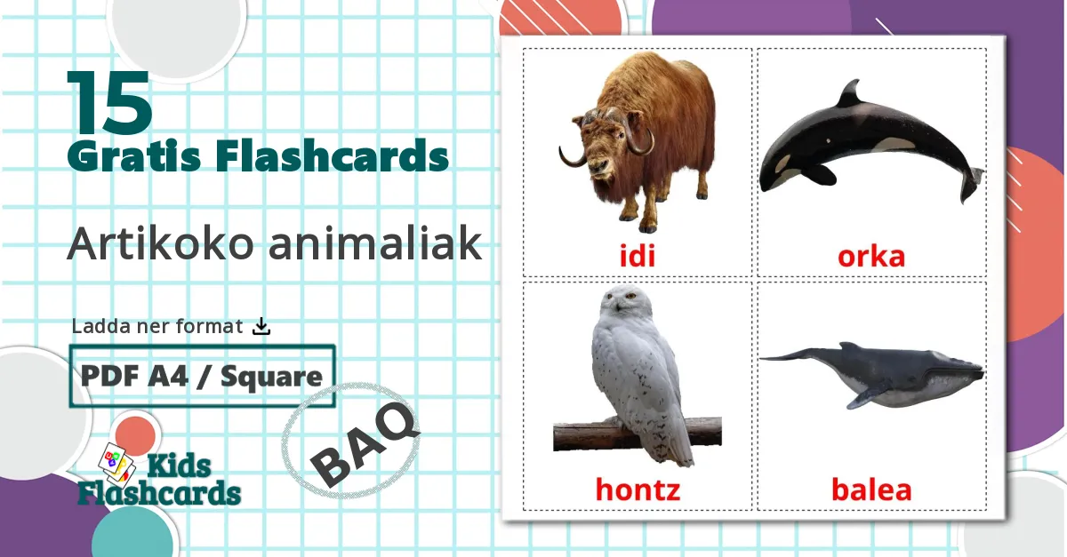 15 Artikoko animaliak bildkort för barn