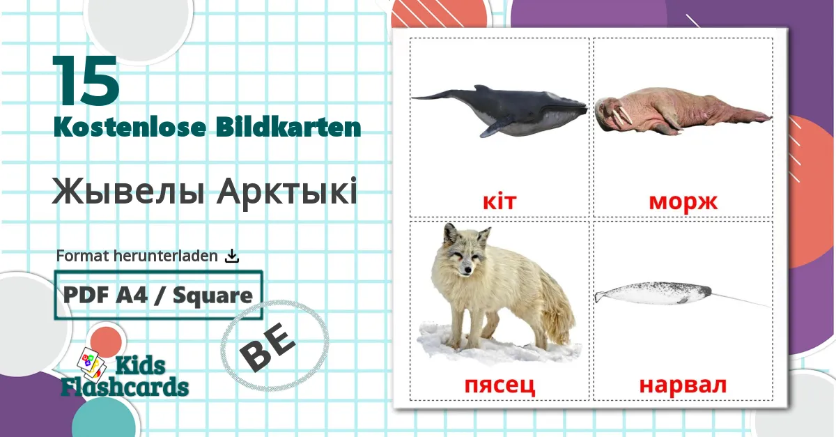 15 Bildkarten für Жывелы Арктыкi