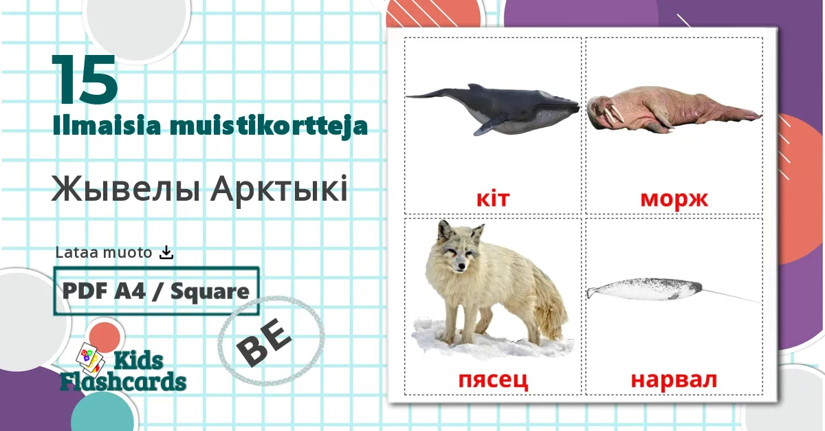 15 Жывелы Арктыкi lasten kuvakortit