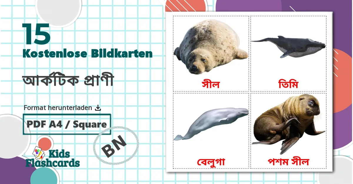 15 Bildkarten für আর্কটিক প্রাণী