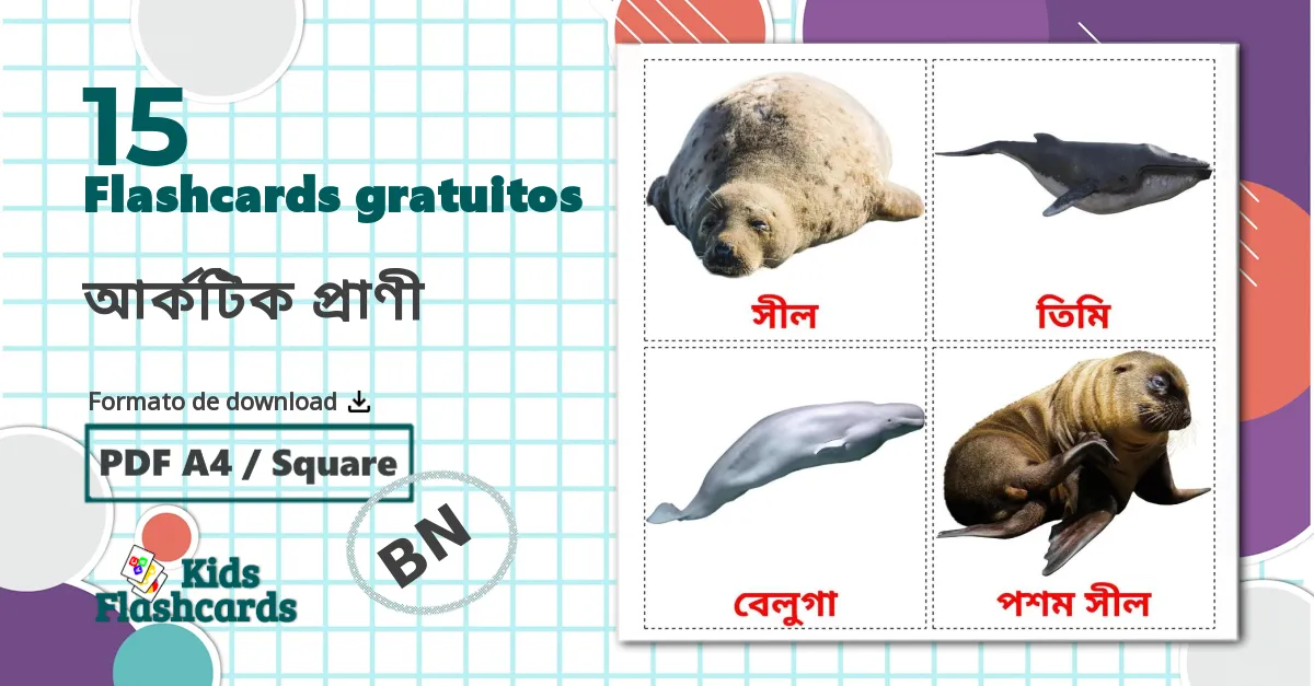 15 Flashcards de Animais do Ártico