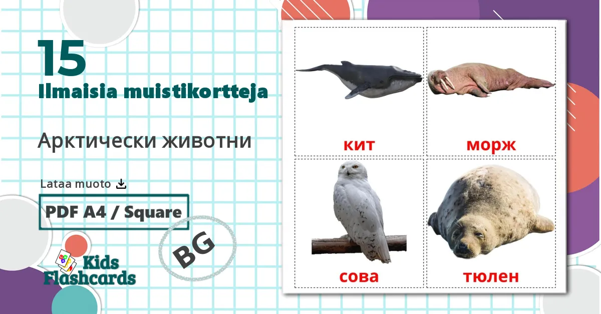 15 Арктически животни lasten kuvakortit