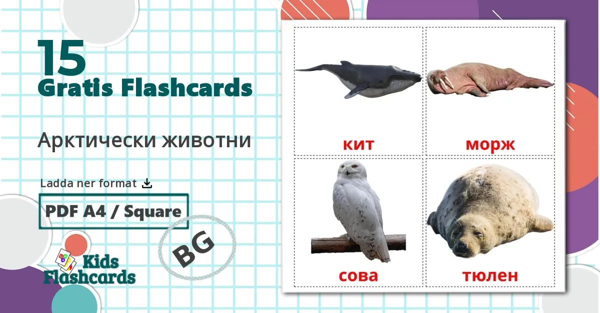 15 Арктически животни bildkort för barn