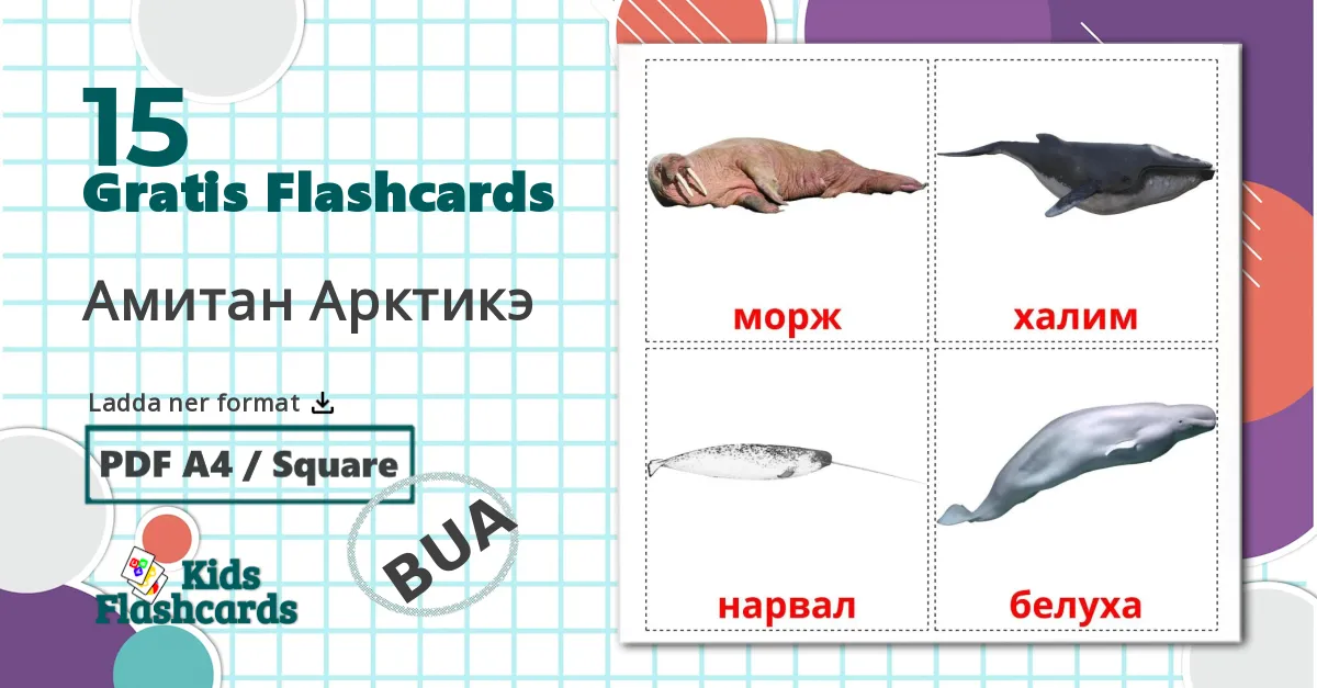 15 Амитан Арктикэ bildkort för barn