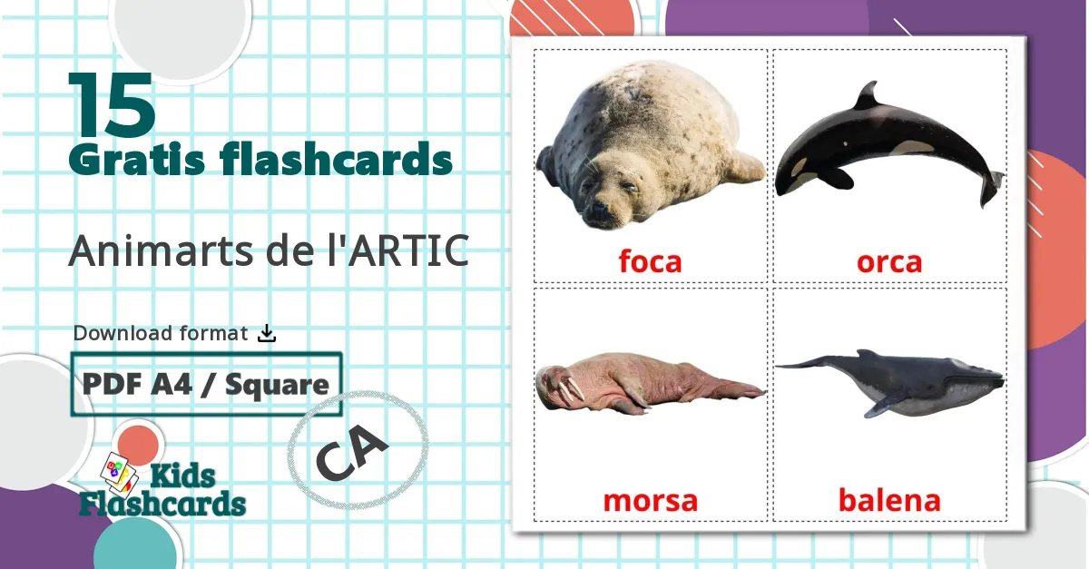15 Animarts de l'ARTIC billedkort for børn