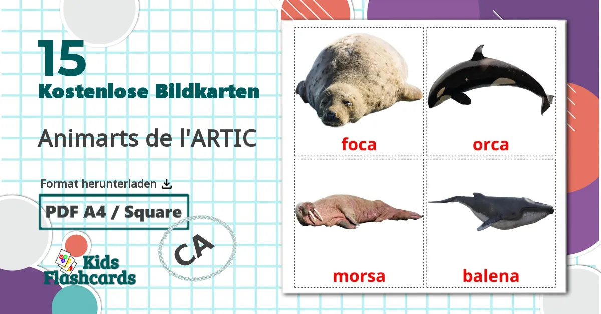 15 Bildkarten für Animarts de l'ARTIC