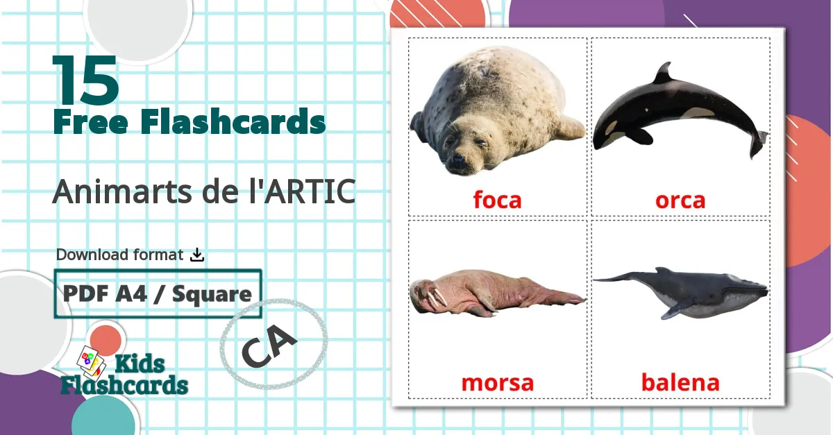 15 Arctic animals flashcards